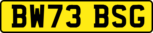 BW73BSG