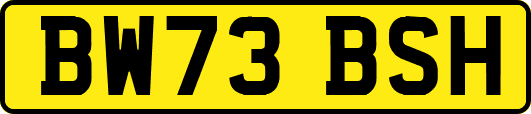 BW73BSH