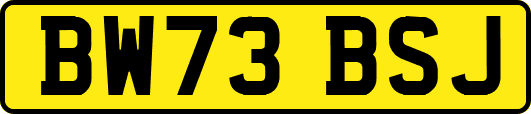 BW73BSJ