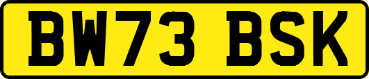 BW73BSK