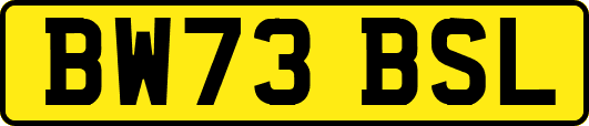 BW73BSL