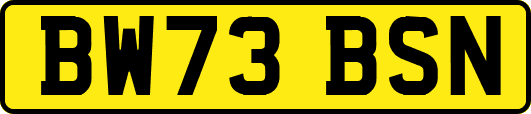 BW73BSN
