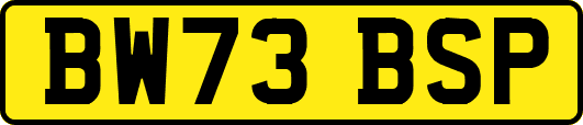 BW73BSP
