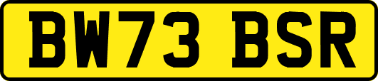 BW73BSR