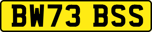 BW73BSS