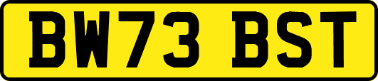 BW73BST