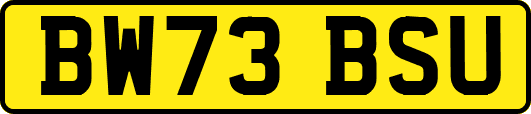 BW73BSU