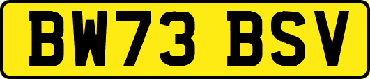BW73BSV