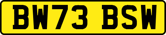 BW73BSW