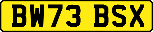 BW73BSX