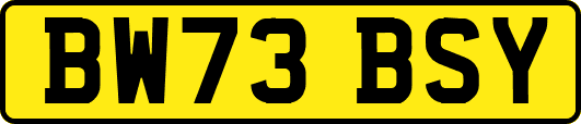 BW73BSY