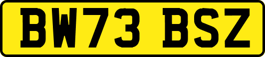 BW73BSZ