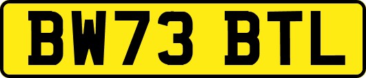 BW73BTL