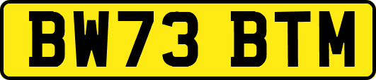 BW73BTM
