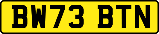 BW73BTN