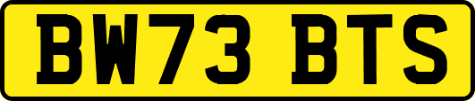 BW73BTS