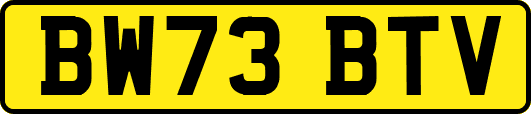 BW73BTV