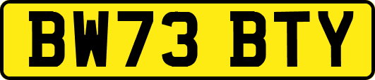 BW73BTY