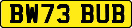 BW73BUB