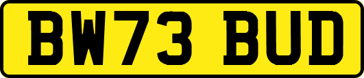 BW73BUD