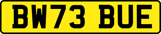 BW73BUE