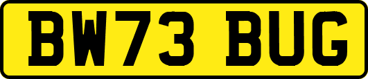 BW73BUG