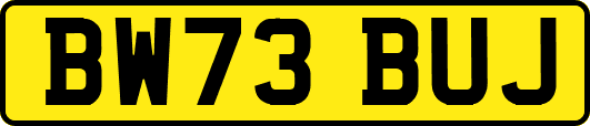 BW73BUJ