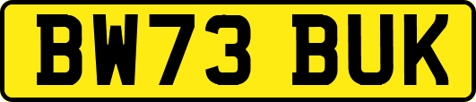 BW73BUK