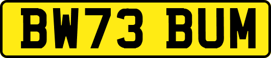 BW73BUM