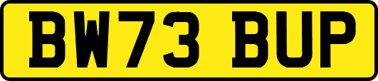 BW73BUP