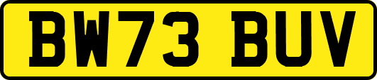BW73BUV
