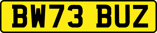 BW73BUZ