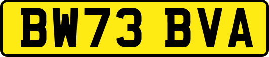 BW73BVA