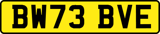 BW73BVE