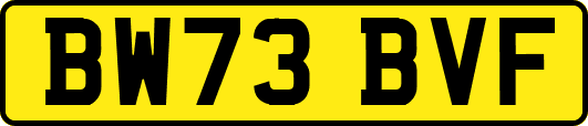 BW73BVF
