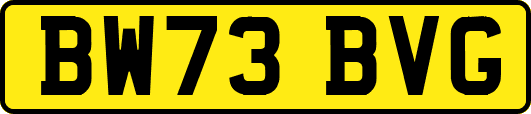 BW73BVG