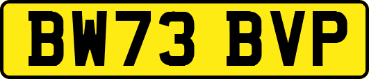 BW73BVP