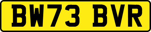 BW73BVR