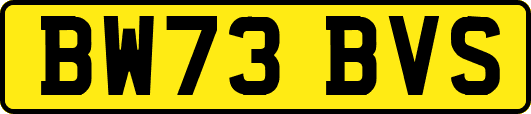 BW73BVS