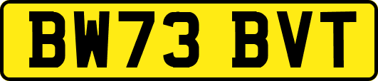 BW73BVT