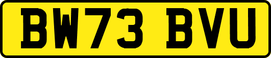 BW73BVU