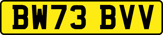 BW73BVV