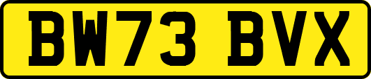 BW73BVX