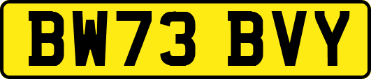 BW73BVY