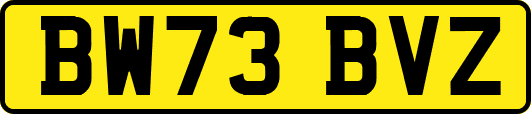 BW73BVZ