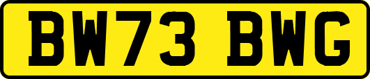 BW73BWG