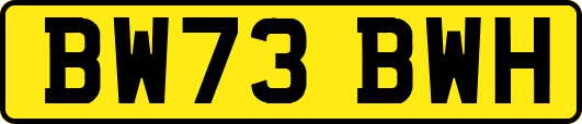 BW73BWH