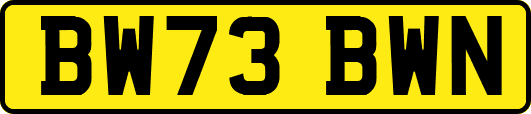BW73BWN