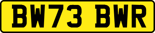 BW73BWR