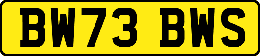 BW73BWS